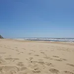 Vistazul