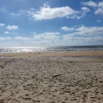 Vistazul *