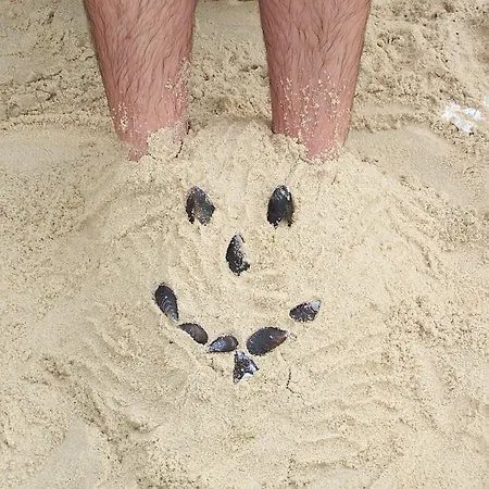 Vistazul Σπίτι διακοπών Pataias