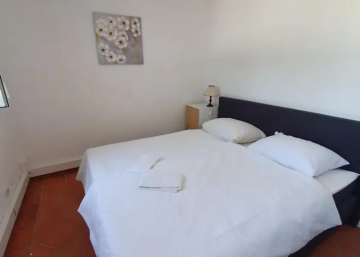 Vistazul