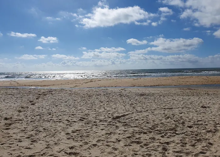 Vistazul *